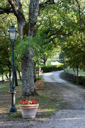 A stroll in the tranquility of the Tuscan countryside A stroll in the tranquility of the Tuscan countryside
