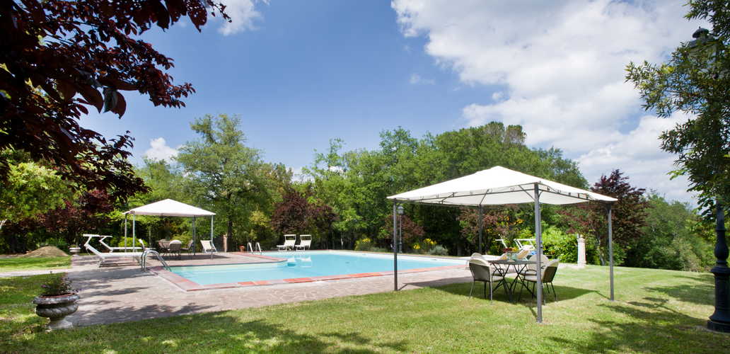 Surrounded by olive trees and the Tuscanc green countryside Surrounded by olive trees and the Tuscanc green countryside