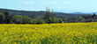 The Maremma is famous for is landscape, food and wine