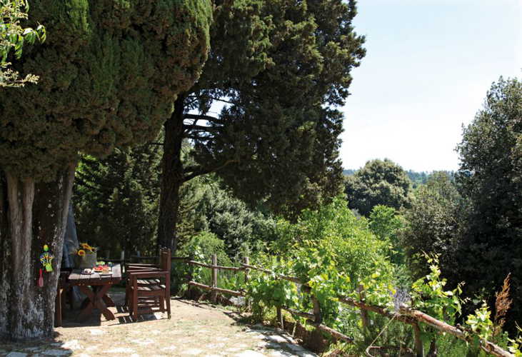 The Country House Il Fornaccio Florentine Hills