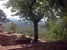 Vista del San Baronto sotto il sole della Toscana