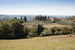 La Canigiana Chianti Holiday Home surrounded by olive groves