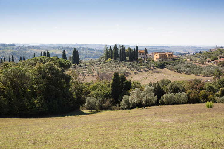 La Canigiana Chianti Holiday Home surrounded by olive groves