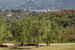 La Canigiana Chianti Vacation Apartments: Florence Skyline