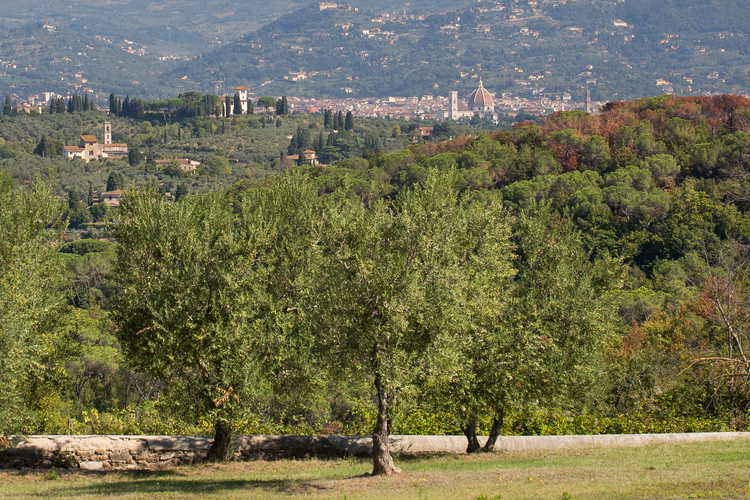La Canigiana Chianti Vacation Apartments: Florence Skyline