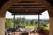La Canigiana Chianti Vacation Apartments: surrounded by olive groves