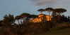La Certaldina vacation accommodations near Certaldo with restaurants & shops