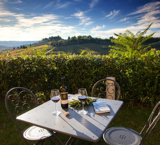La Certaldina vacation apartments with lovely views of Tuscany, olive groves and vineyards