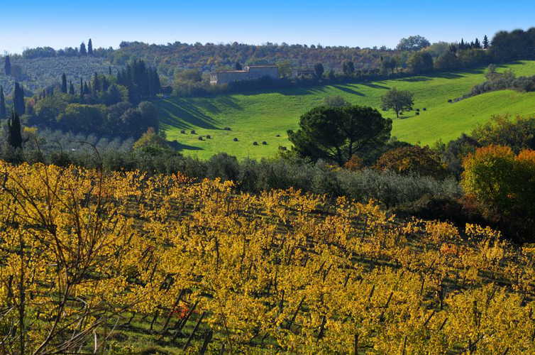 la-fornace-di-racciano-san-gimignano_14