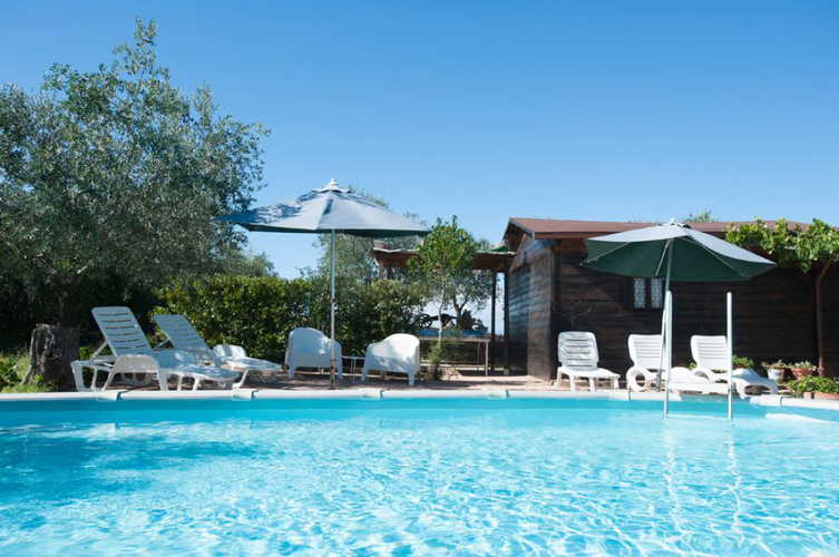 La piscina, incastonata nel verde dell'ampio giradino e degli olivi