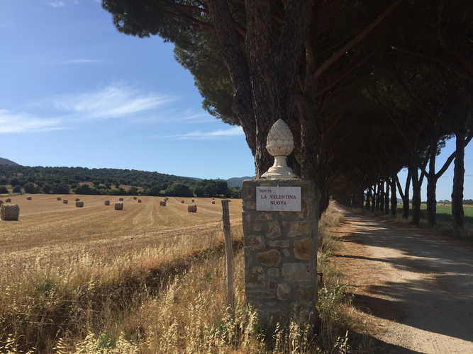la-valentina-nuova-orbetello_13