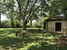 La Villa con gli Archi is surrounded by a rich, green garden with spectacular trees and blossoms