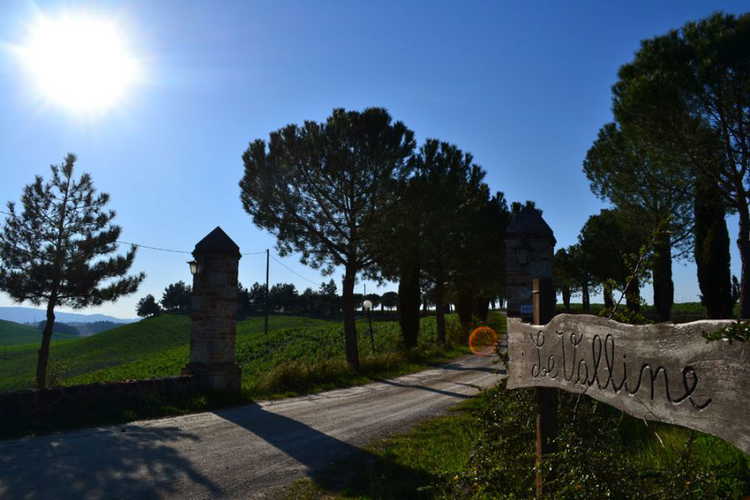 Park walks at Agriturismo Le Valline near Siena