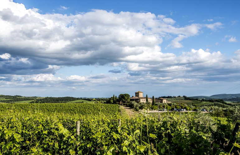 Locanda Le Piazze: circondata dall'incantevole paesaggio che caratterizza la zona tra il Chianti e Siena
