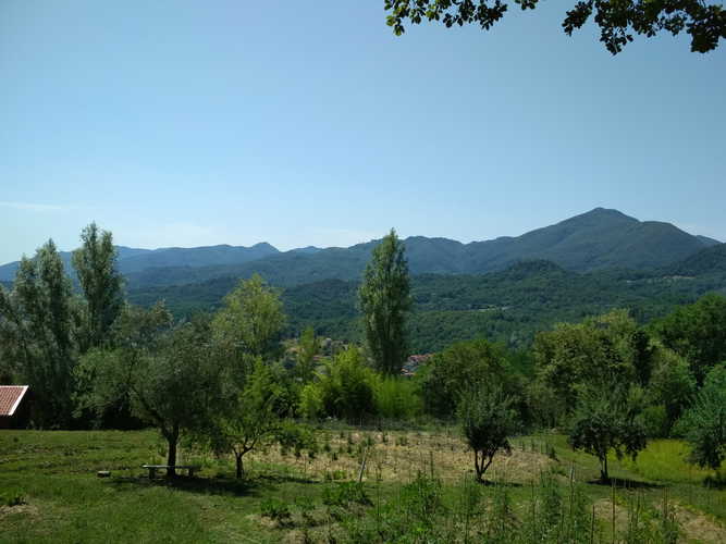 Lunantica Podere Il Falco - circondato da argentei oliveti