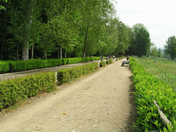 Mami Haus holiday vacation apartment rental located near Cascine Park