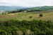 Classical Tuscan panoramas of vineyards and olive groves