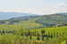 Stunning Tuscan views in every direction at Montrogoli