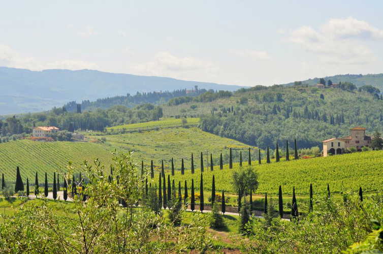 Stunning Tuscan views in every direction at Montrogoli