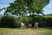 Lush green garden area surround the Montrogoli Holiday Home, with BBQ