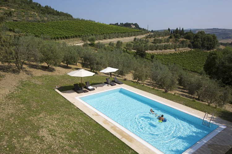 Pool immersed in the large and marvellous garden