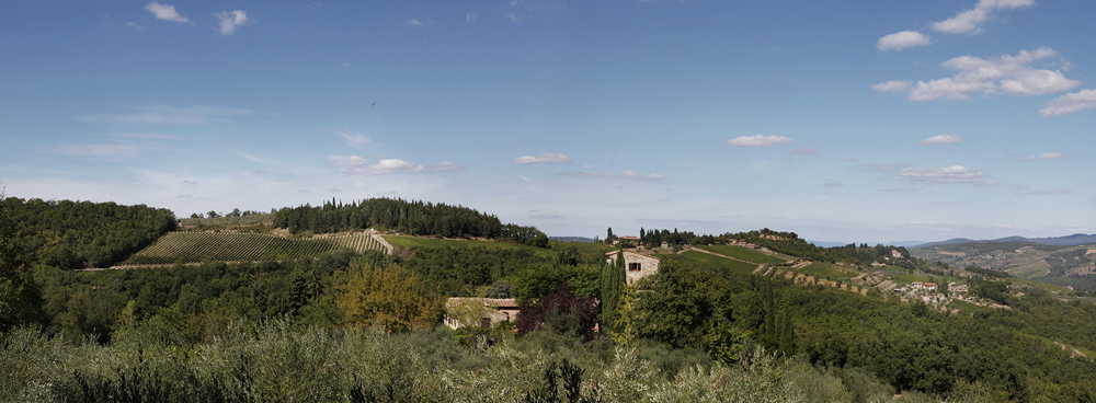 Breathtaking view from the estate on the Chianti hills