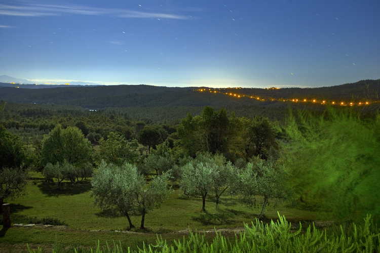 Agriturismo Podere Argena: il verde argenteo degli olivi che circondano gli appartamenti
