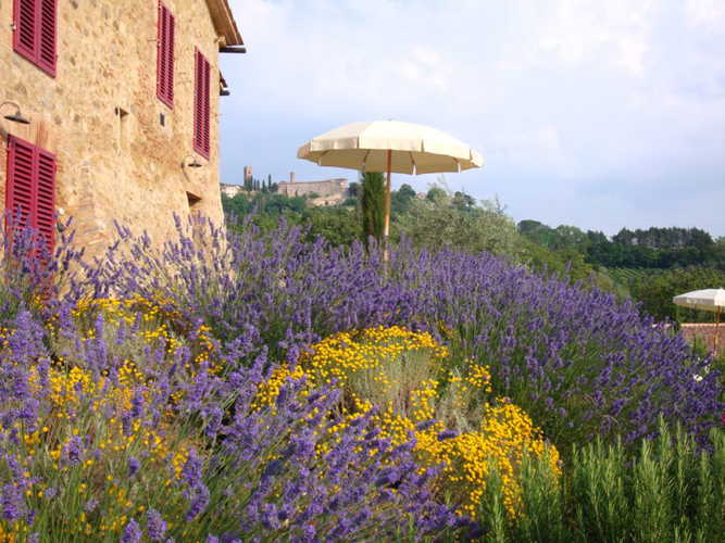 podere-colombaiolo-radicondoli_14