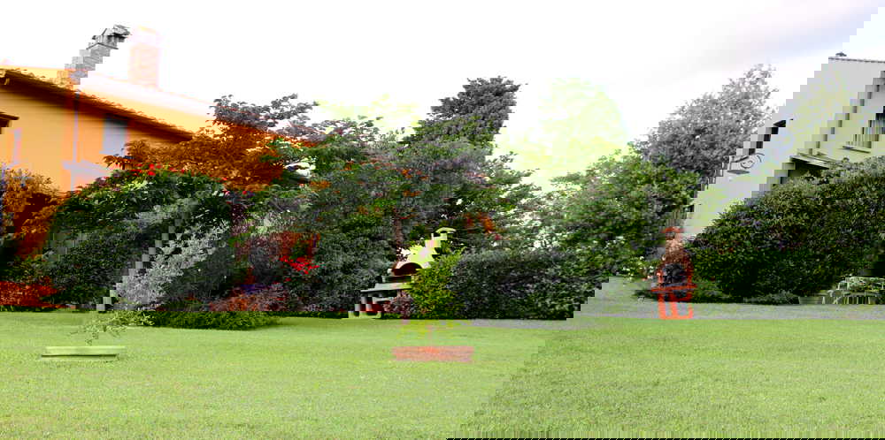 Il bellissimo giardino della casa vacanze