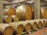 Wine cellar Maremma farmhouse