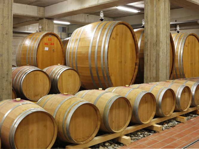 Wine cellar Maremma farmhouse