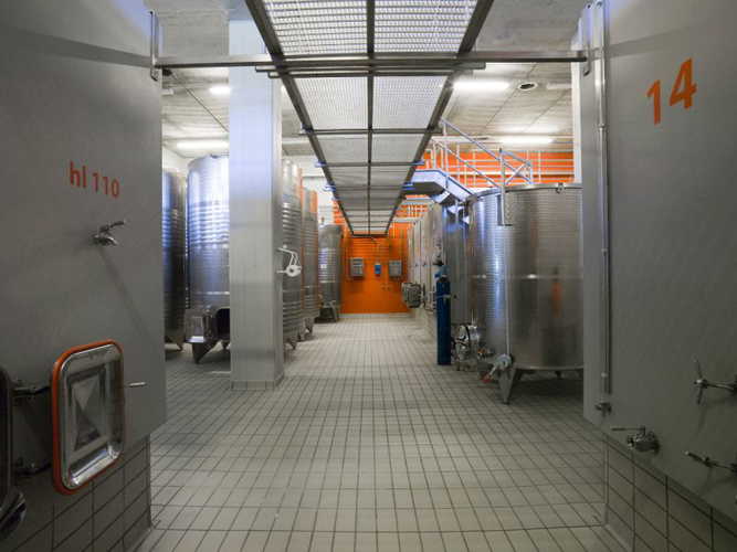 Wine production Poderi Firenze