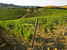 B&B near Mount Amiata, the surrounding landscape