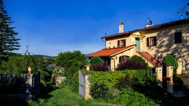 Porcigliano Olive Grove