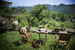 The amazing garden of the B&B