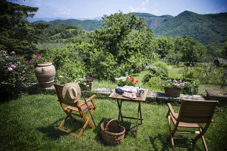 The amazing garden of the B&B