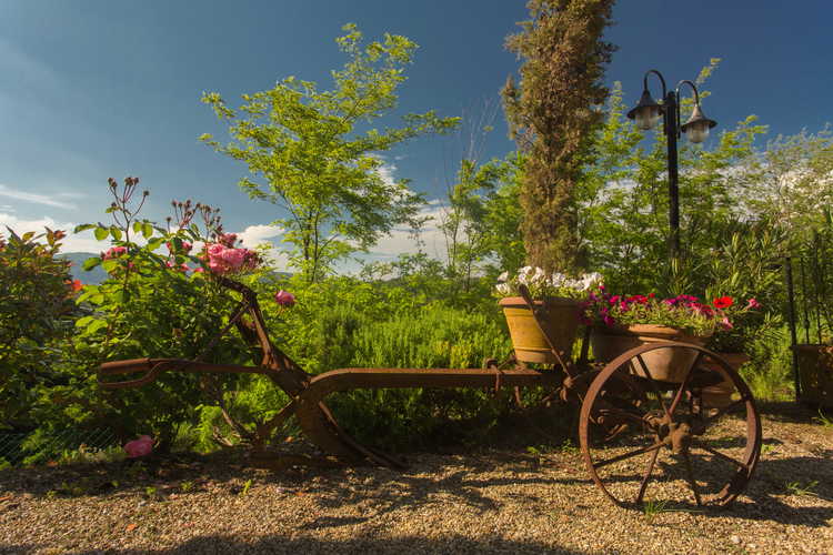 Residence Il Gavillaccio - i colori e profumi della campagna Toscana
