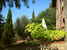 Residence Il Gavillaccio - uno scorcio sui giardini