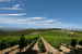 Chianti Farmhouse in the vineyards Romitorio di Se