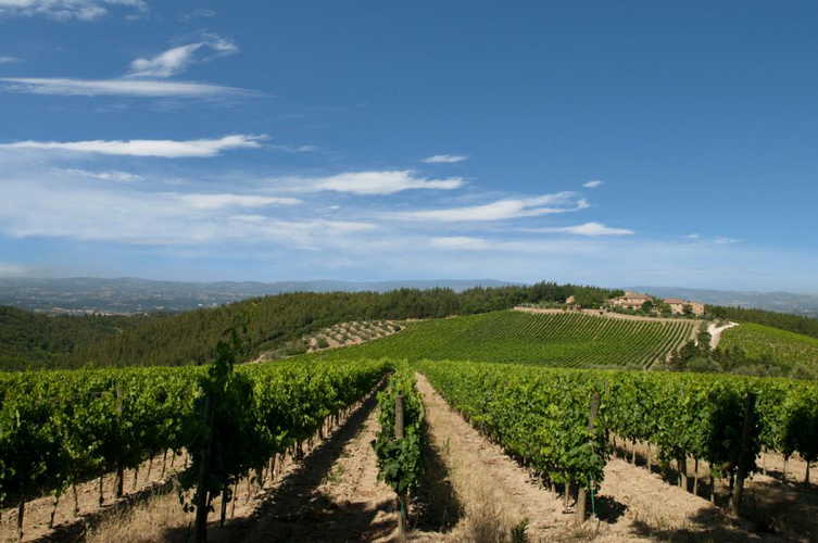 Chianti Farmhouse in the vineyards Romitorio di Se
