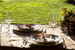 Tenuta Agricola dell'Uccellina: Lovely Destination Event reception and party area