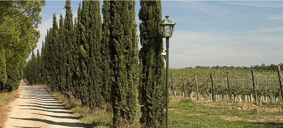 An authentic agriturismo experience at Tenuta San Vito
