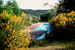 The fragrance of Ginestra, wild flowers & fresh Tuscan air at San Vito