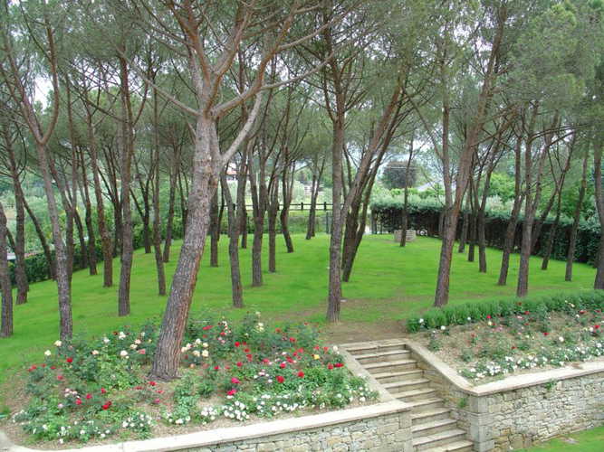 La pineta che circonda la villa aretina