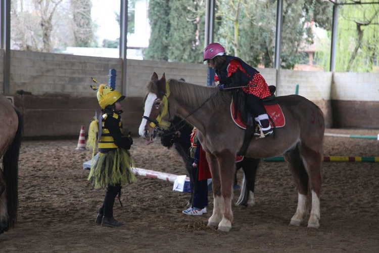 Escursioni a cavallo per grandi e piccini a Villa Il Poggio Escursioni a cavallo per grandi e piccini a Villa Il Poggio
