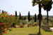 Il parco ed il giardino privato della Villa Il parco ed il giardino privato della Villa