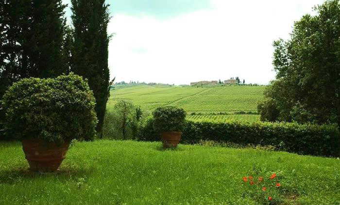 Views of the wine estate and close to a fabulous retaurant.