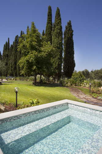 Villa Roveto: dalla piscina si puÃ² ammirare il tipico panorama collinare toscano