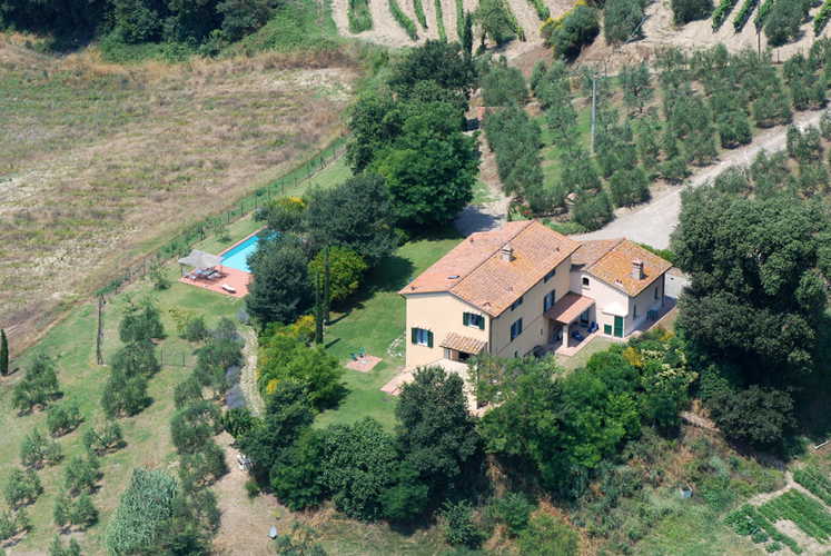 Villa Tiziana: circondata da argentei oliveti