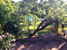 Una vista sul giardino